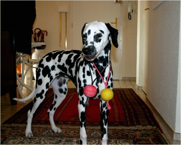 <b>das kitzelt! willst du's auch probieren?<b>